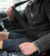 16-seat-belts.jpg (226386 bytes)